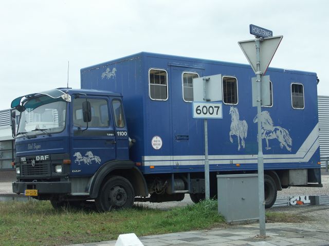 DAF-1100-blau-311004.jpg - DAF 1100