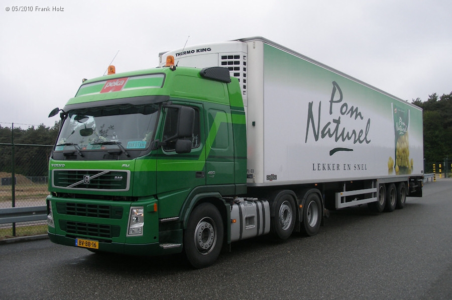 NL-Volvo-FM-480-Peka-Holz-100810-01.jpg