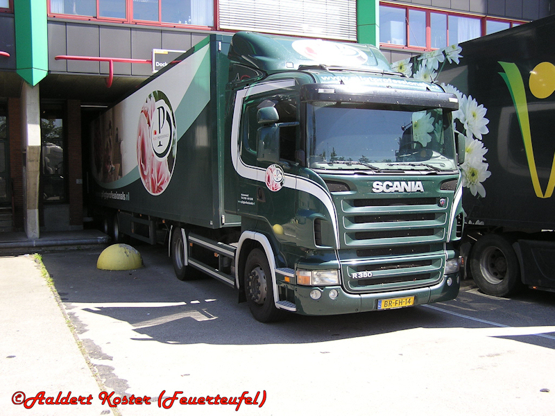 NL-Scania-P-380-gruen-Koster-161210-01.jpg