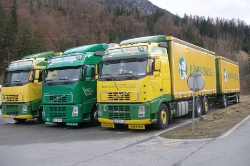 AUT-Volvo-FH12-Wille-Holz-150810-01