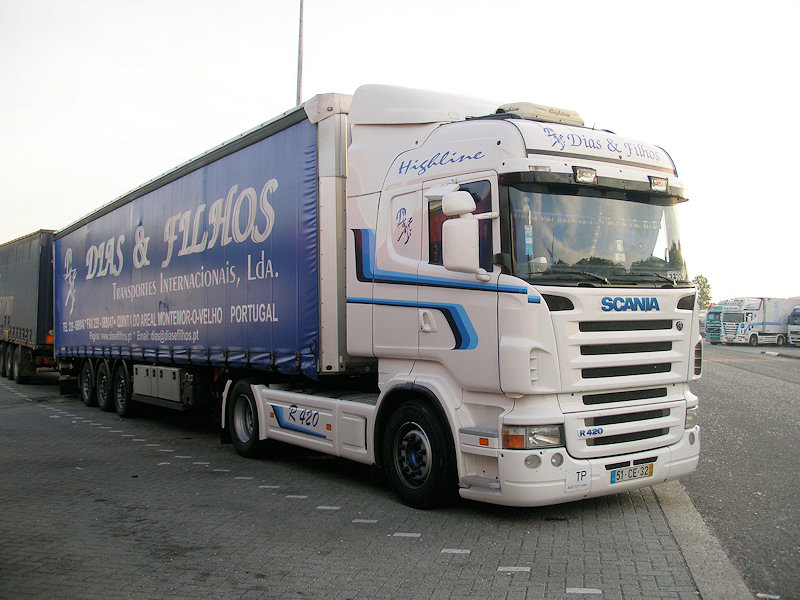 POR-Scania-R-420-weiss-Holz-040608-01.jpg