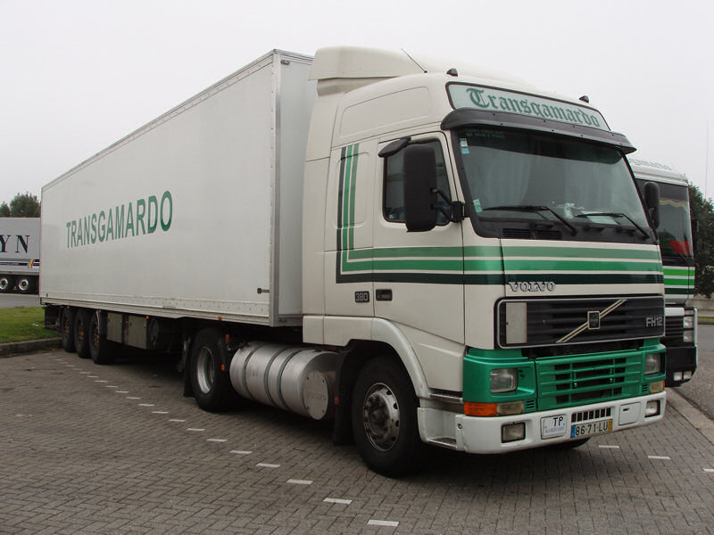 Volvo-FH12-380-Transgamardo-Holz-310807-01-POR.jpg