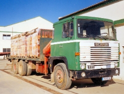 Scania-LBS-111-gruen-Michel-150806-01-POR