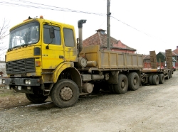 RO-DAC-26380-gelb-Vorechovsky-220208-01
