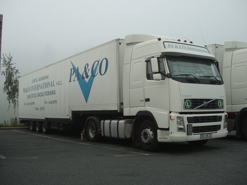 Volvo-FH12-420-Pa+Co-Holz-010108-01-RO.jpg