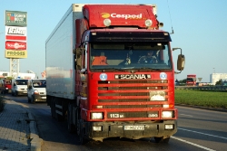 RO-Scania-113M-380-Cesped-17049-1