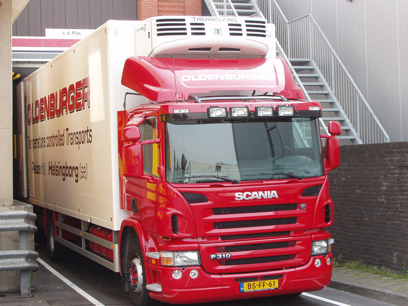 Scania-P-310-Oldenburger-Holz-310807-01.jpg - Frank Holz