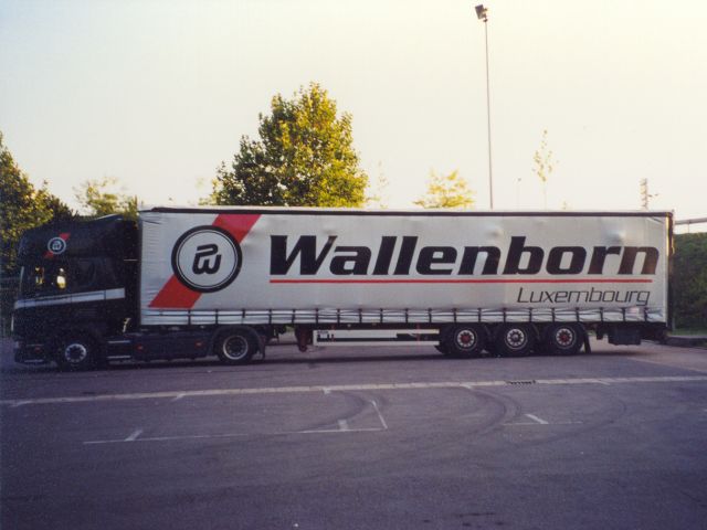Scania-4er-Wallenborn-Senzig-100405-01-LUX.jpg - Michael Senzig