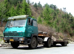 CH-Jiang-3004108-11