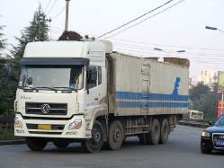 Dongfeng-weiss-311207-01