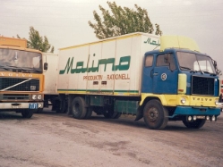 Volvo-F88-Malimo-AKuechler-240105-01