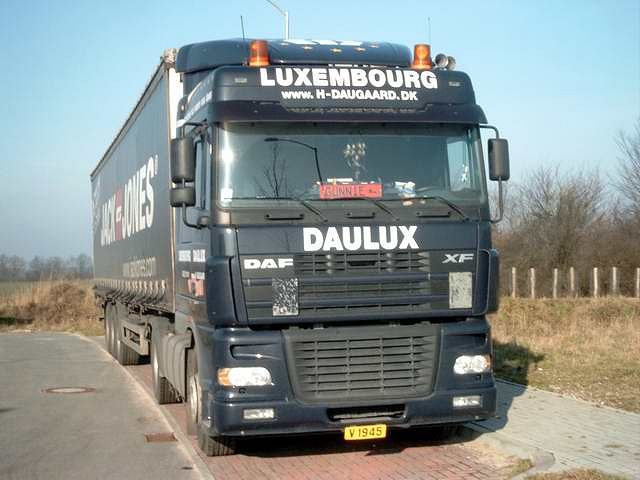 DAF-XF-Daulux-Kolmorgen-100205-02-LUX.jpg - Dirk Kolmorgen