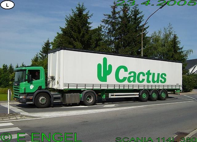 Scania-114-L-380-Cactus-Engel-290405-01.jpg - Eric Engel