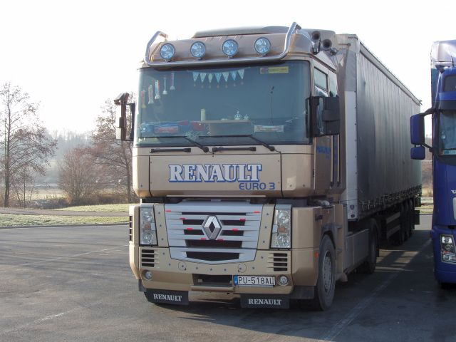 Renault-Magnum-Holz-100206-01-SK.jpg