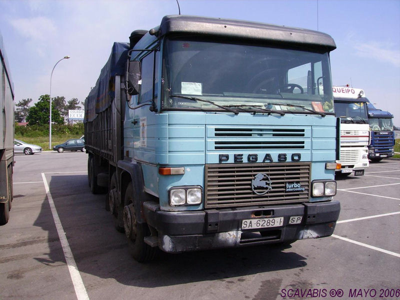 Pegaso-blau-weiss-F-Pello-240607-04-ESP.jpg