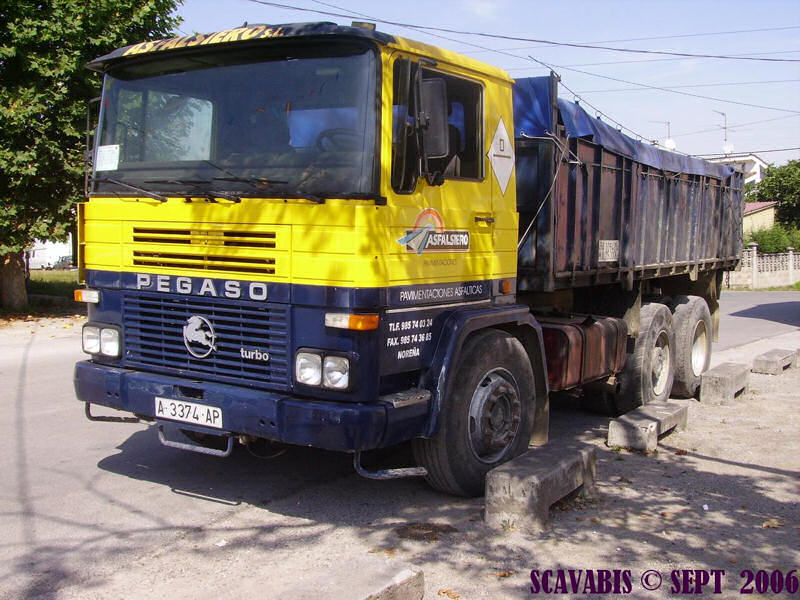 Pegaso-gelb-blau-F-Pello-240607-01-ESP.jpg