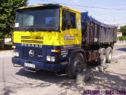 Pegaso-gelb-blau-F-Pello-240607-01-ESP