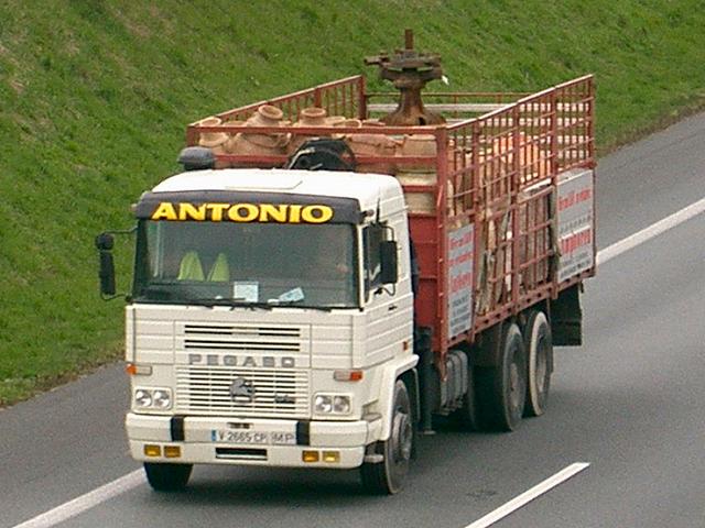Pegaso-Antonio-Szy-180404-1-ESP.jpg - Trucker Jack