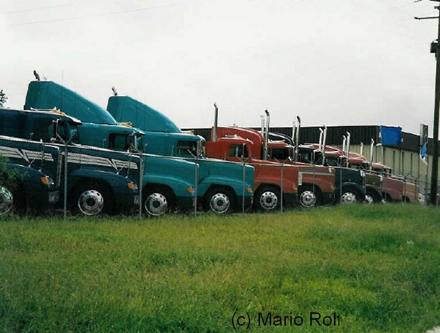US-Truck-(Rolf)-17.jpg - Mario Rolf