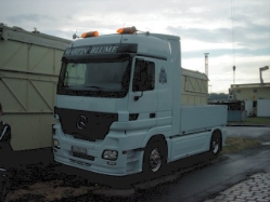 MB-Actros-Blume-(Scholz)