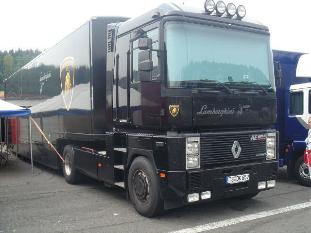 Renault-AE-420-schwarz-Strauch.-130806-01.jpg