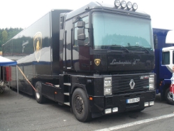 Renault-AE-420-schwarz-Strauch.-130806-01