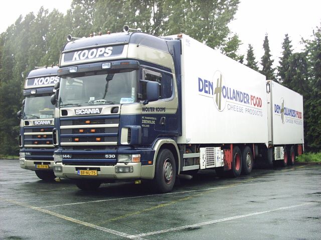 Scania-144-L-530-Koops-Rolf-300804-1.jpg - Mario Rolf