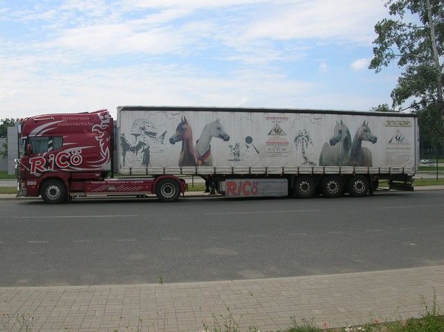 Scania-Longline-Ricoe-Skrzypczak-120705-01.jpg