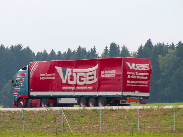 Volvo-FH12-Voegel-Bach-160506-02.jpg - Norbert Bach