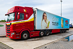 cremers 50