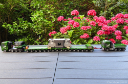 20250711-Kuebler-00126