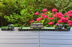 20250711-Kuebler-00139