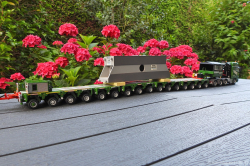 20250711-Kuebler-00145