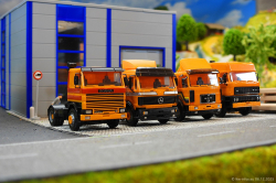 20251206-alle-DAF-MAN-MB-Scania-orange-00006