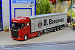 braunger 01