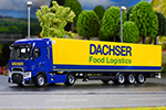 dachser 03