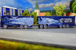 20260214-Ekdahl-00060