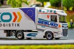 20260502-Gesuko-00052