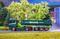20260804-Latussek-00309
