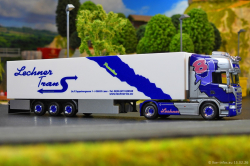 20260216-Lechner-Trans-00261