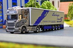 20260216-Lechner-Trans-00467