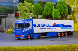 20260810-Murpf-00003