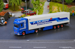 20260810-Murpf-00113