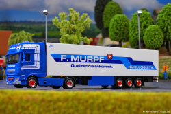 20260810-Murpf-00115