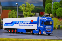 20260810-Murpf-00151