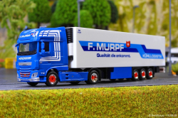20260810-Murpf-00166