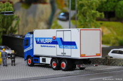 20260810-Murpf-00231