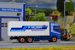 20260810-Murpf-00240