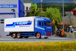 20260810-Murpf-00245