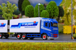 20260810-Murpf-00304